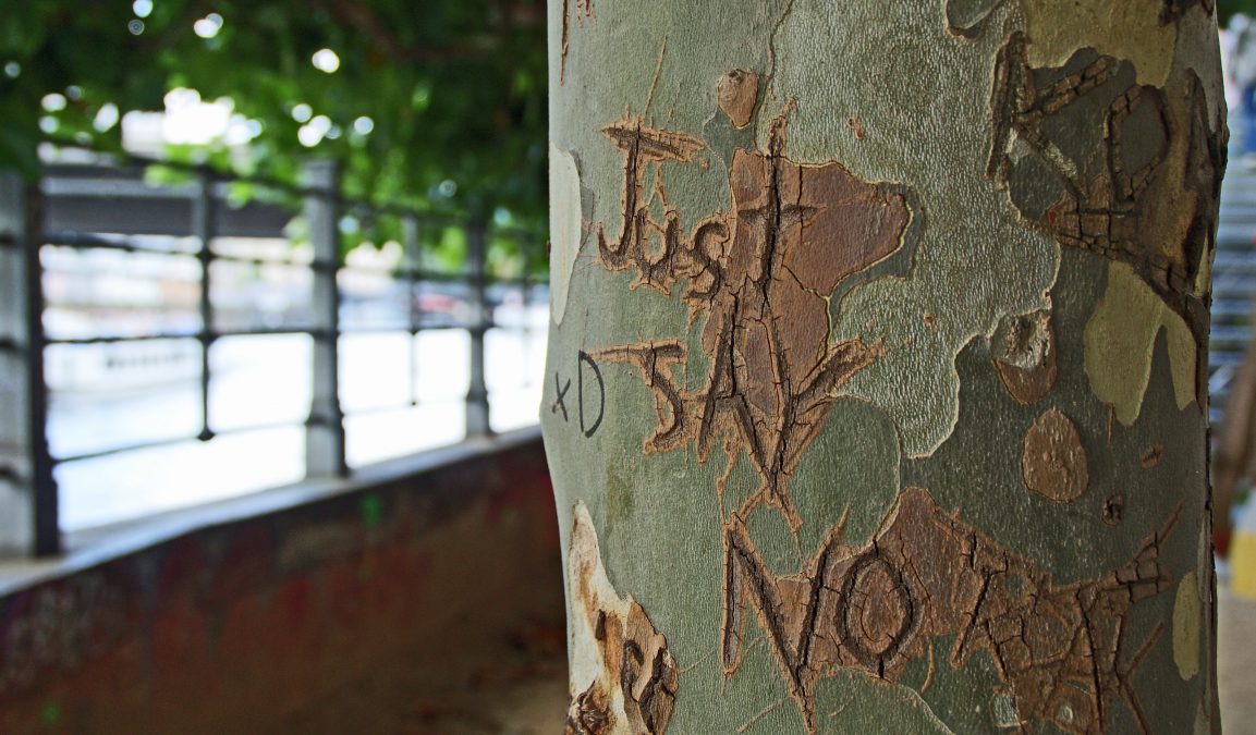 JUST SAY NO is carved into a tree